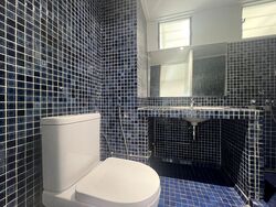 Dunearn Road (D11), Condominium #444218301